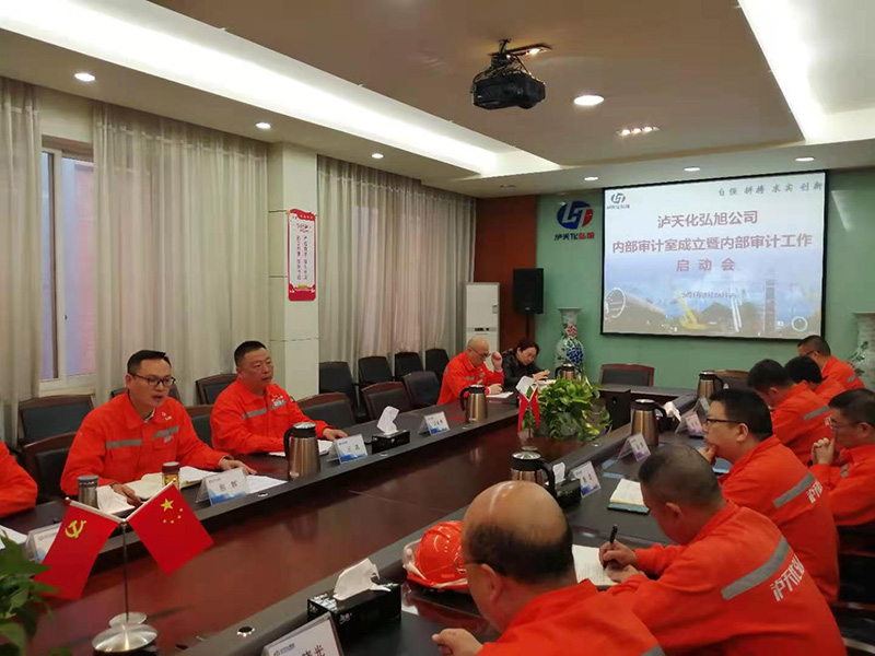 弘旭公司召開內(nèi)部審計(jì)工作啟動(dòng)會(huì)(圖3)